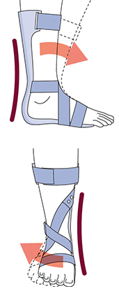 ankle_amigo.png ankle_amigo.png